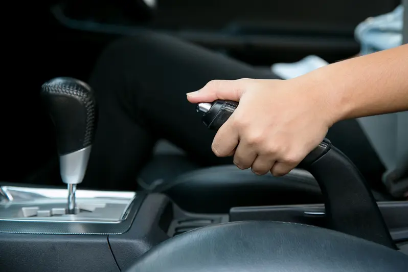 Seat Cover 3